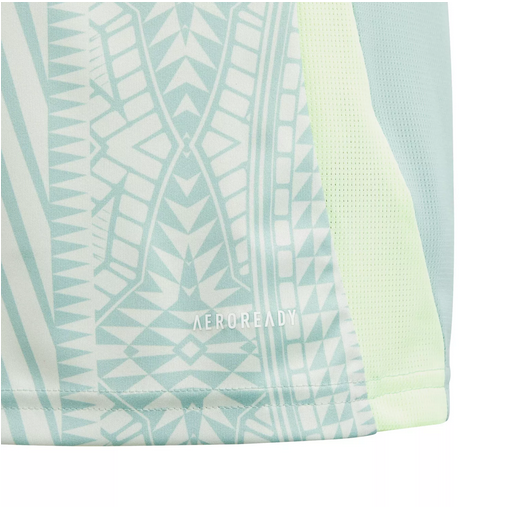 Mexico National Team Away Replica Jersey 2024