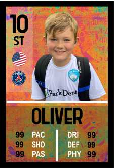 Custom Metal Player Card 12"x18"