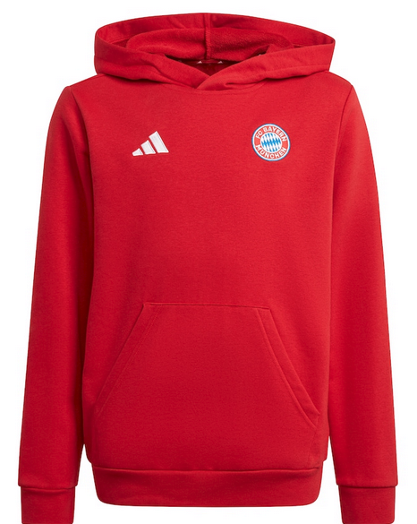 Bayern Munich F.C. Pullover Hoodie Youth