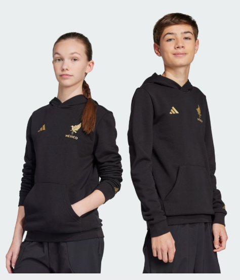 Mexico DNA Graphic Hoodie Youth