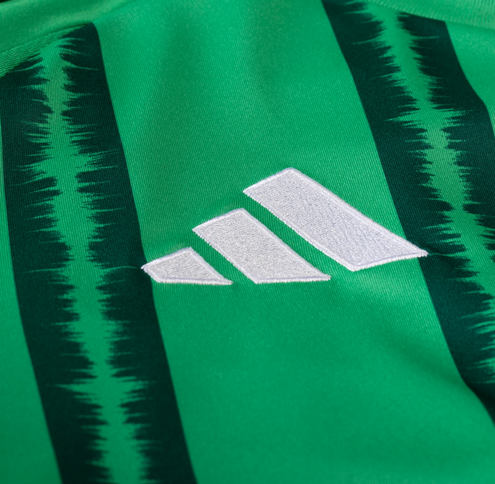 Northern Ireland National Team Jersey 2024